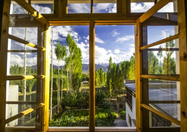 Wood Window Replacement in Clermont