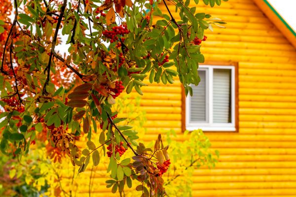 Garden Window Replacement in Clermont